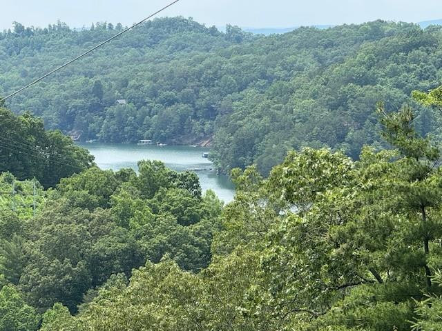 Lot 69 69 Thundering Hill Property Photo 1