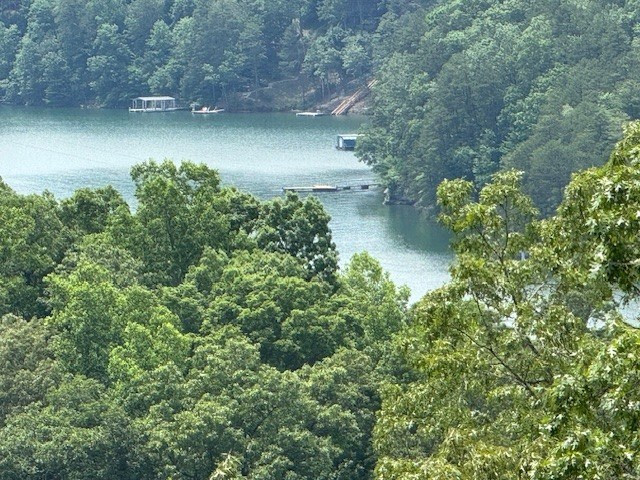 Lot 69 69 Thundering Hill Property Photo 4