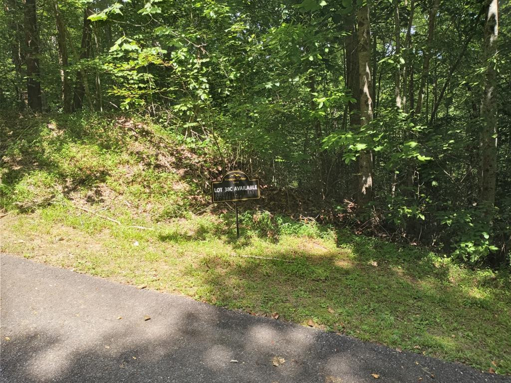 38C Ashe Branch Circle Property Photo 1