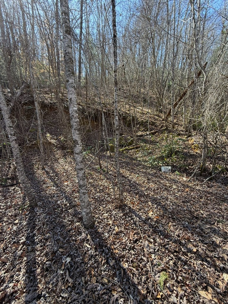 Tbd Royal Oaks Trail Property Photo 6