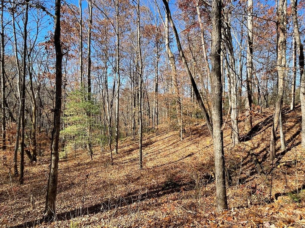 Tbd 69j + Ashe Knob Drive Property Photo 2