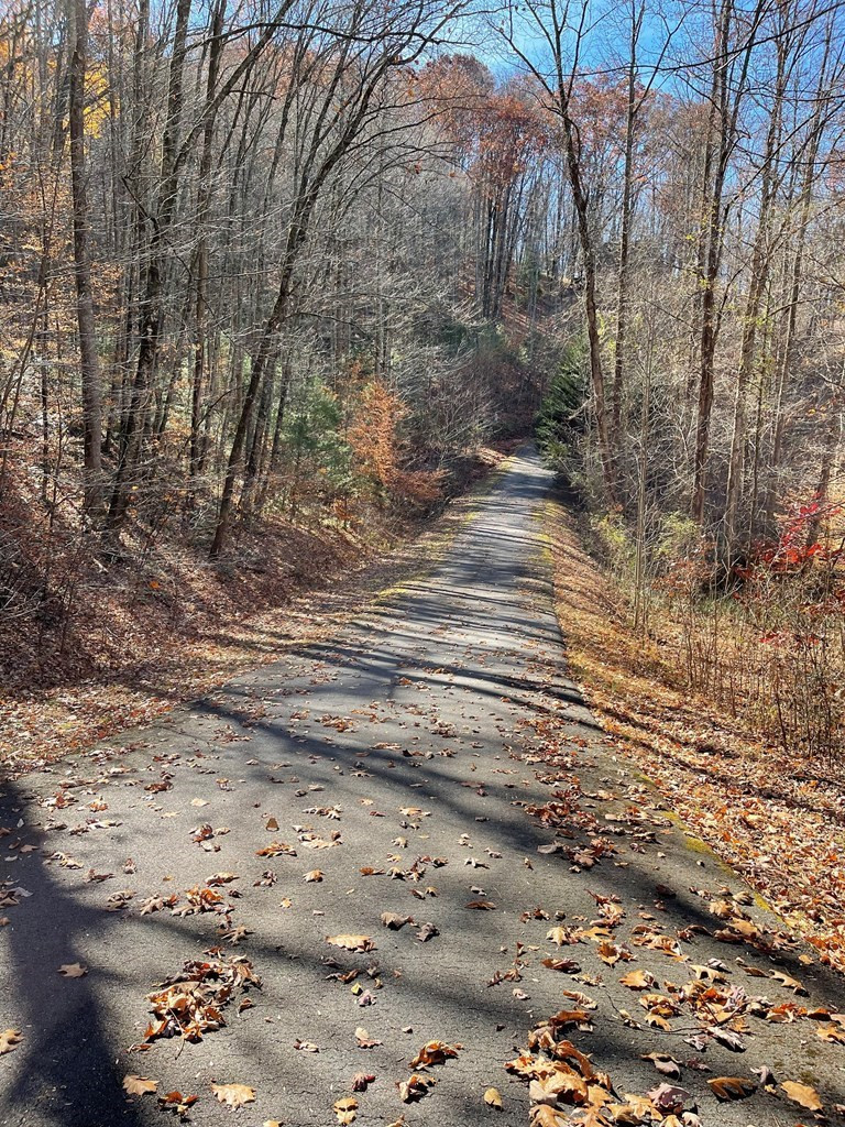 Tbd 69j + Ashe Knob Drive Property Photo 3