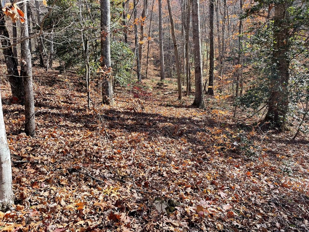 Tbd 69j + Ashe Knob Drive Property Photo 5