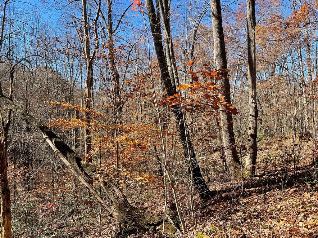Tbd 69j + Ashe Knob Drive Property Photo 7