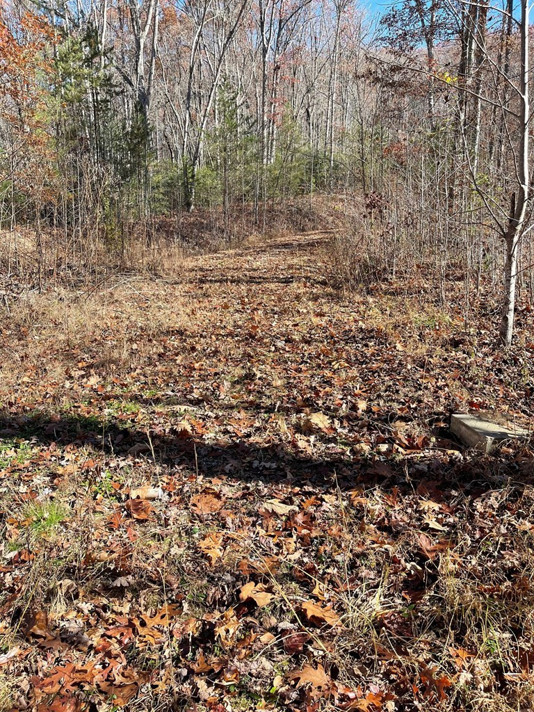 Tbd 69j + Ashe Knob Drive Property Photo 9