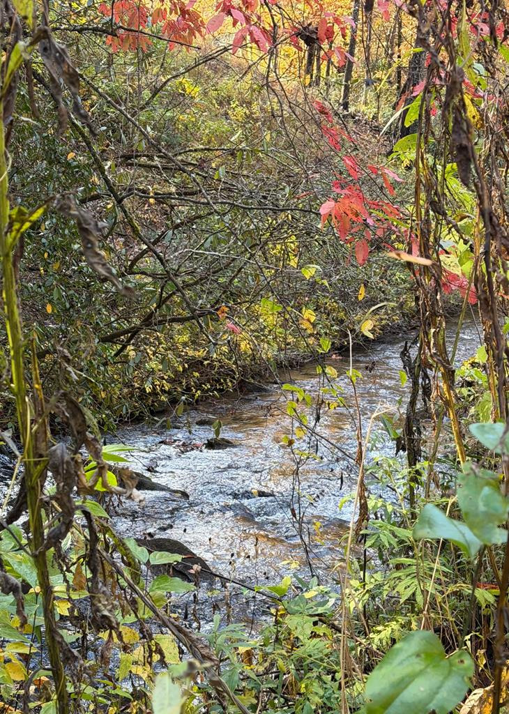 Lot 62 & 62&A Creek Lot A