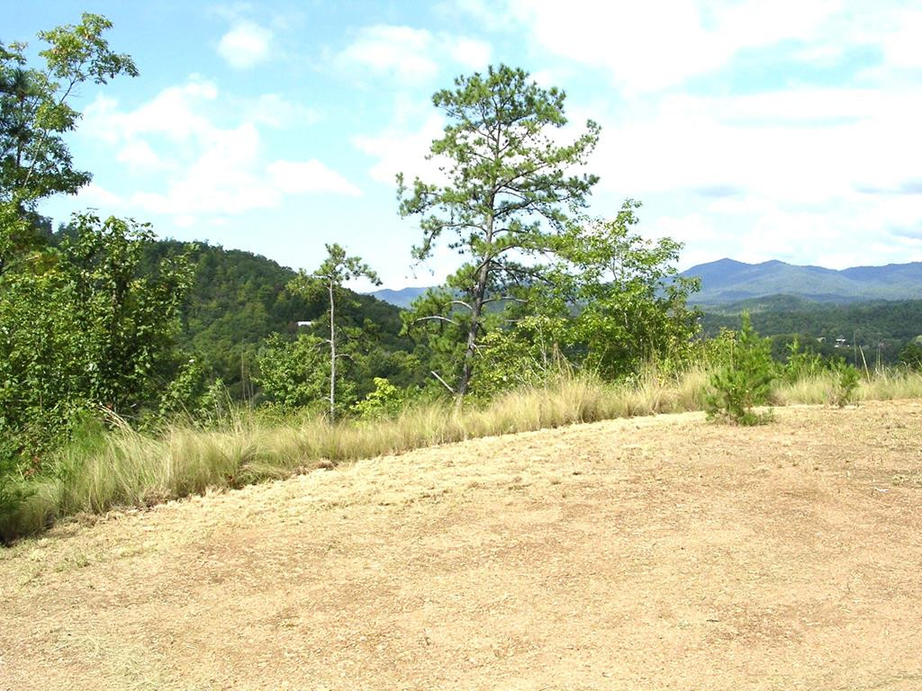 247 4 Rice Lane Property Photo 10