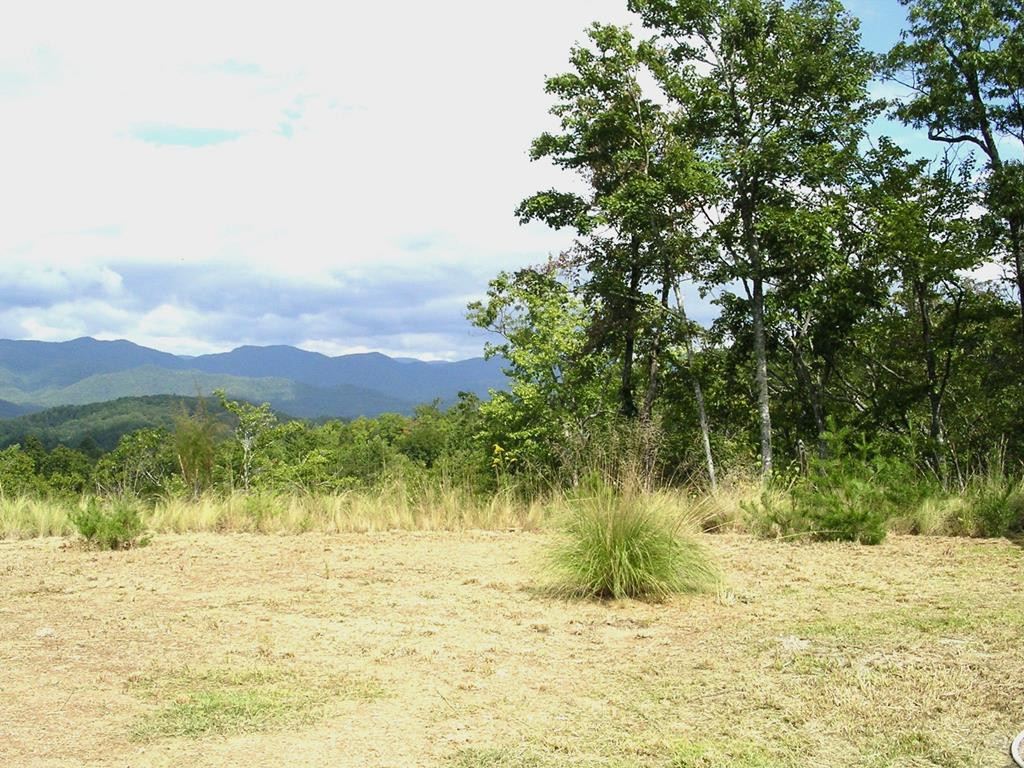 247 4 Rice Lane Property Photo 11