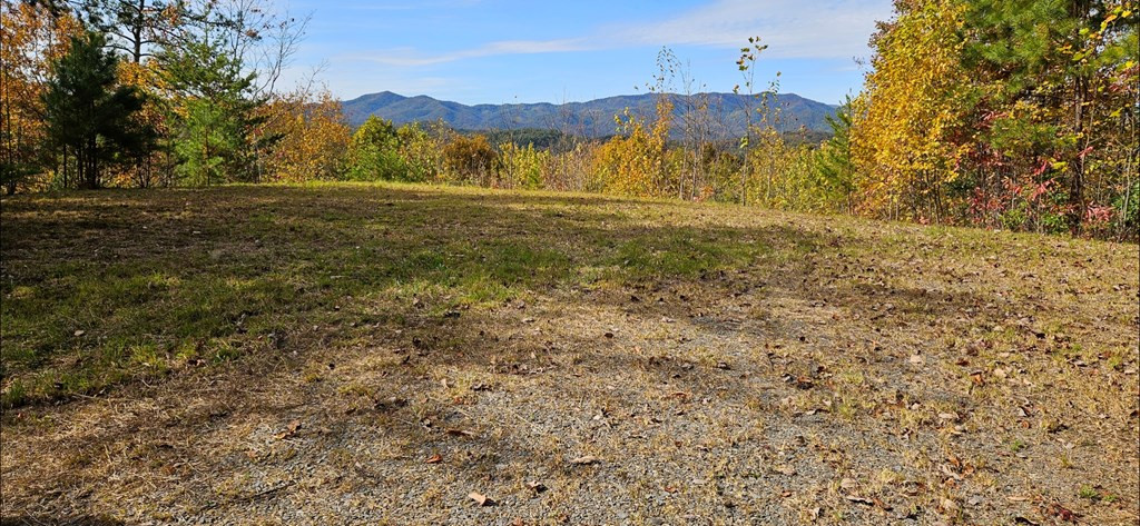 247 4 Rice Lane Property Photo 16