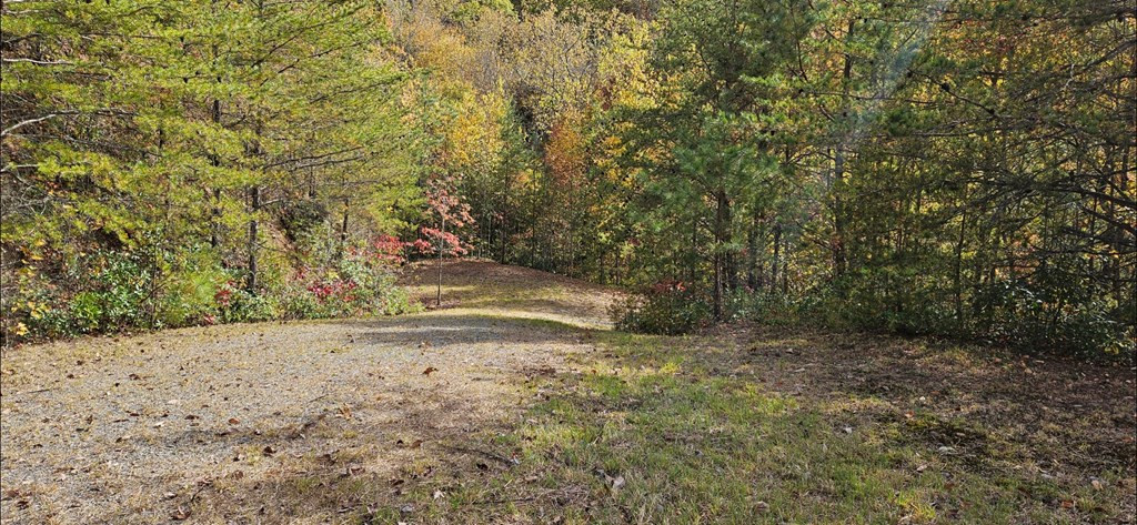 247 4 Rice Lane Property Photo 17
