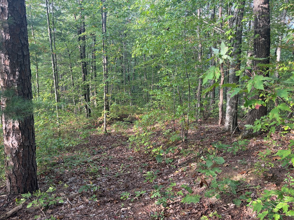 Lot 7 7 Madison Lane Property Photo 10