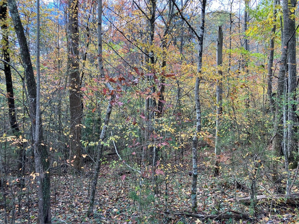 39a 0 Hedden Stiles Property Photo 2