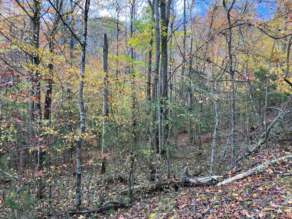 39a 0 Hedden Stiles Property Photo 3