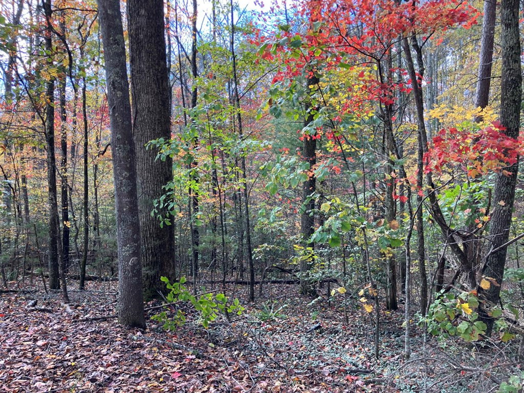 39a 0 Hedden Stiles Property Photo 5