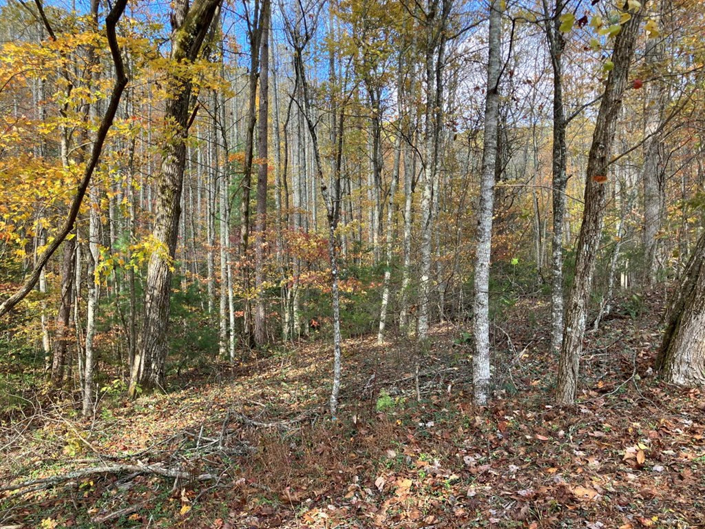 39a 0 Hedden Stiles Property Photo 6