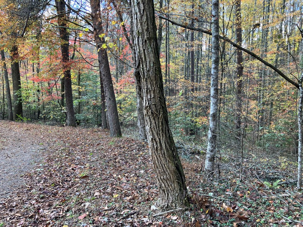39a 0 Hedden Stiles Property Photo 8