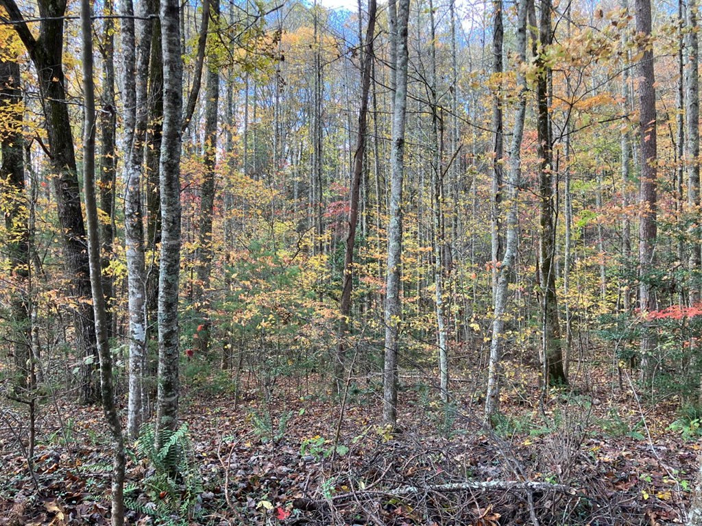 39a 0 Hedden Stiles Property Photo 9