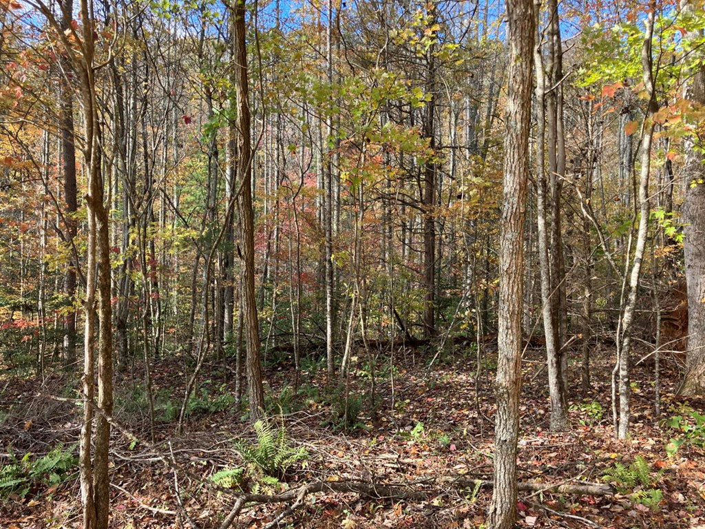 39a 0 Hedden Stiles Property Photo 10