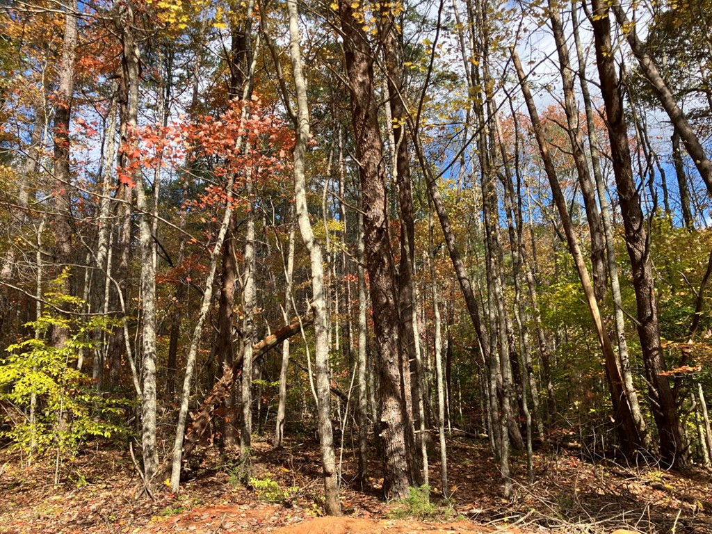 39a 0 Hedden Stiles Property Photo 11