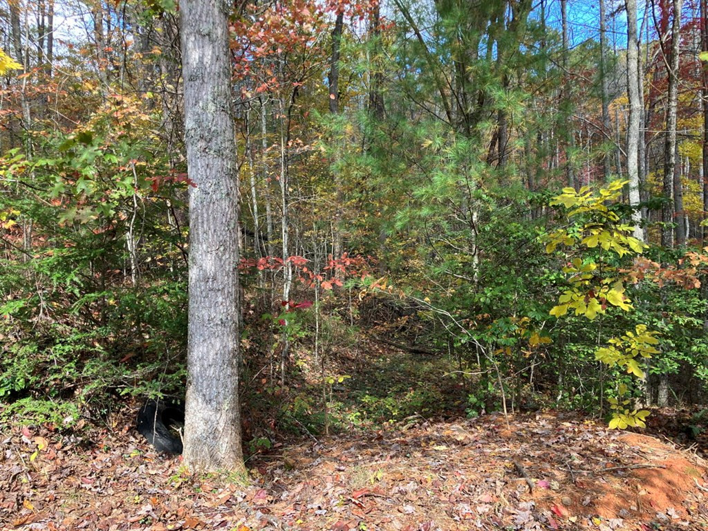 39a 0 Hedden Stiles Property Photo 12