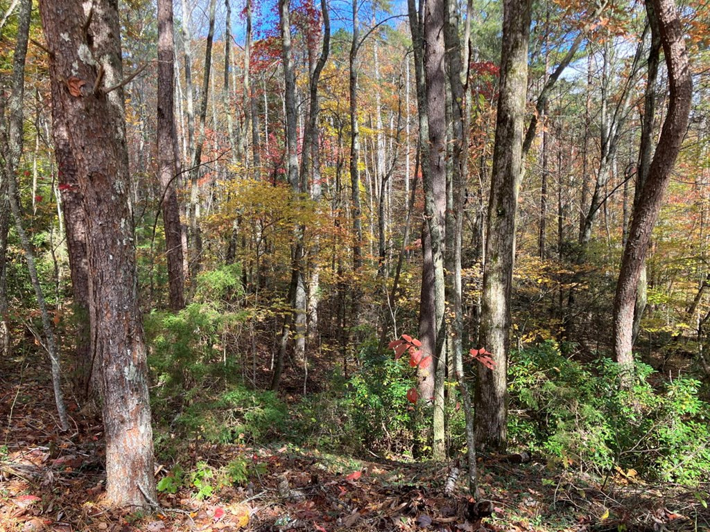 39a 0 Hedden Stiles Property Photo 13