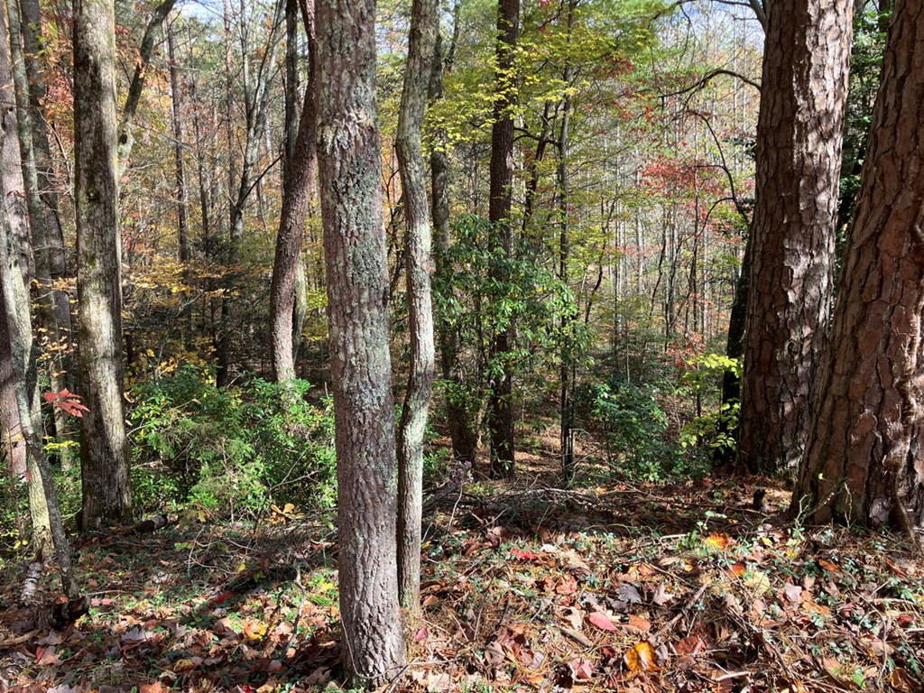39a 0 Hedden Stiles Property Photo 14