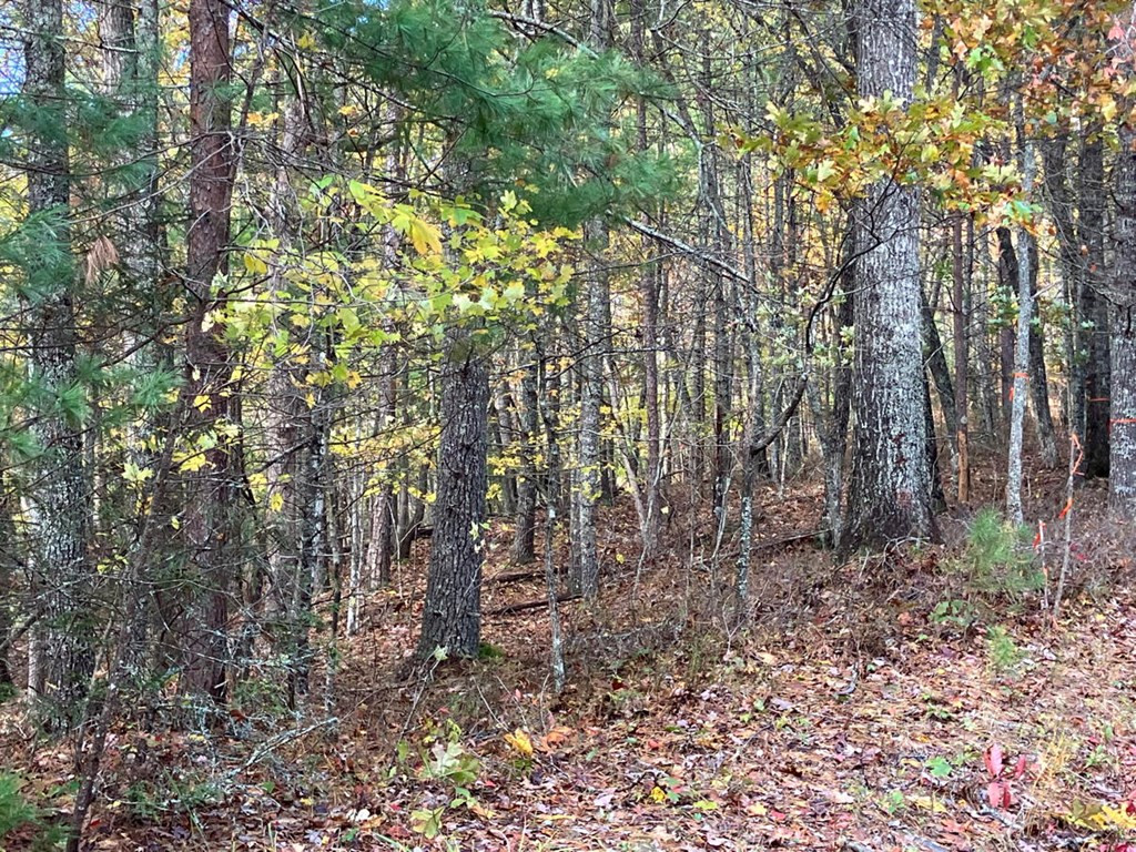 39a 0 Hedden Stiles Property Photo 15