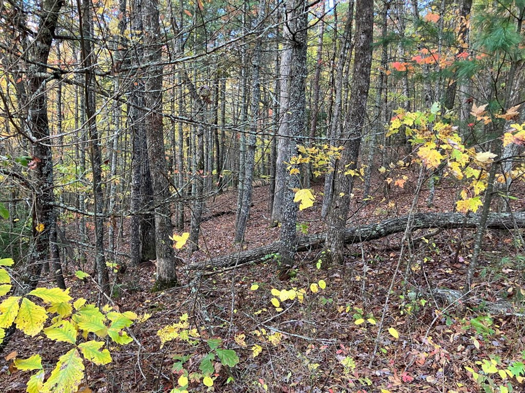 39a 0 Hedden Stiles Property Photo 16