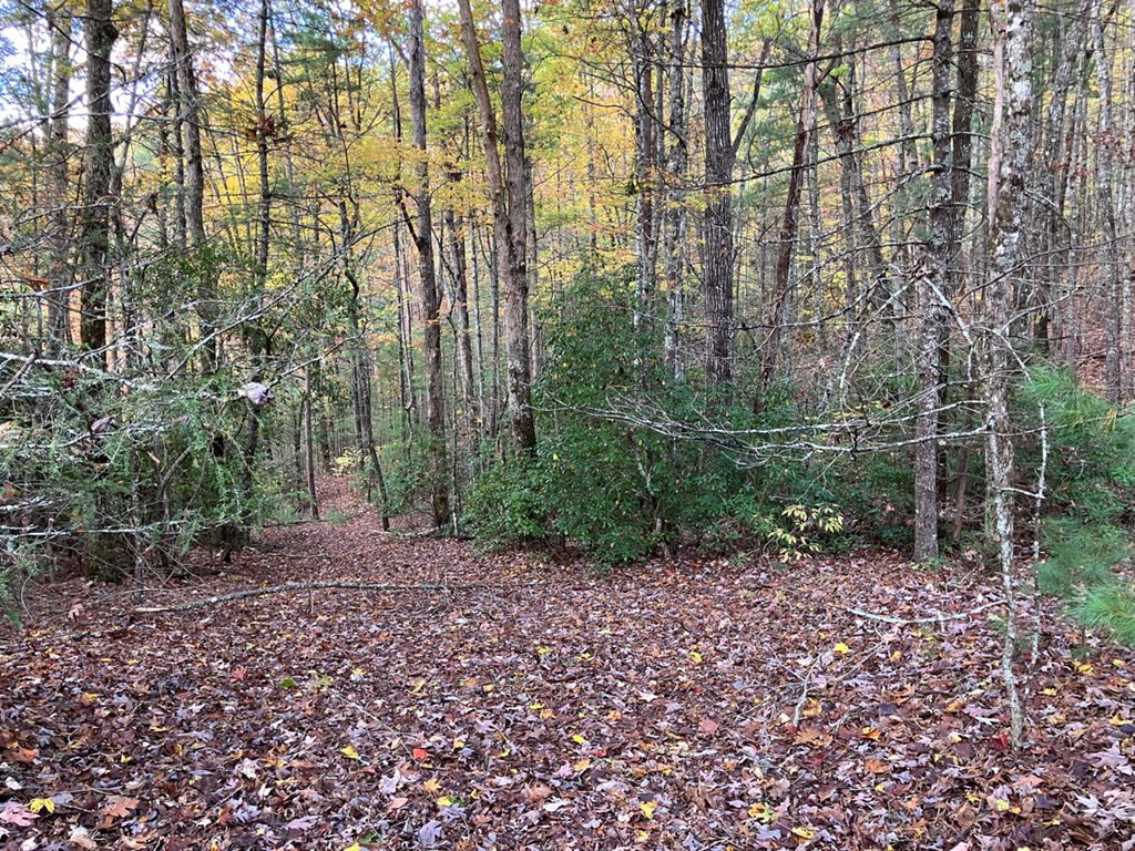 39a 0 Hedden Stiles Property Photo 17