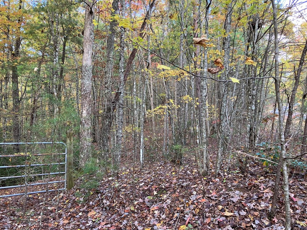 39a 0 Hedden Stiles Property Photo 18