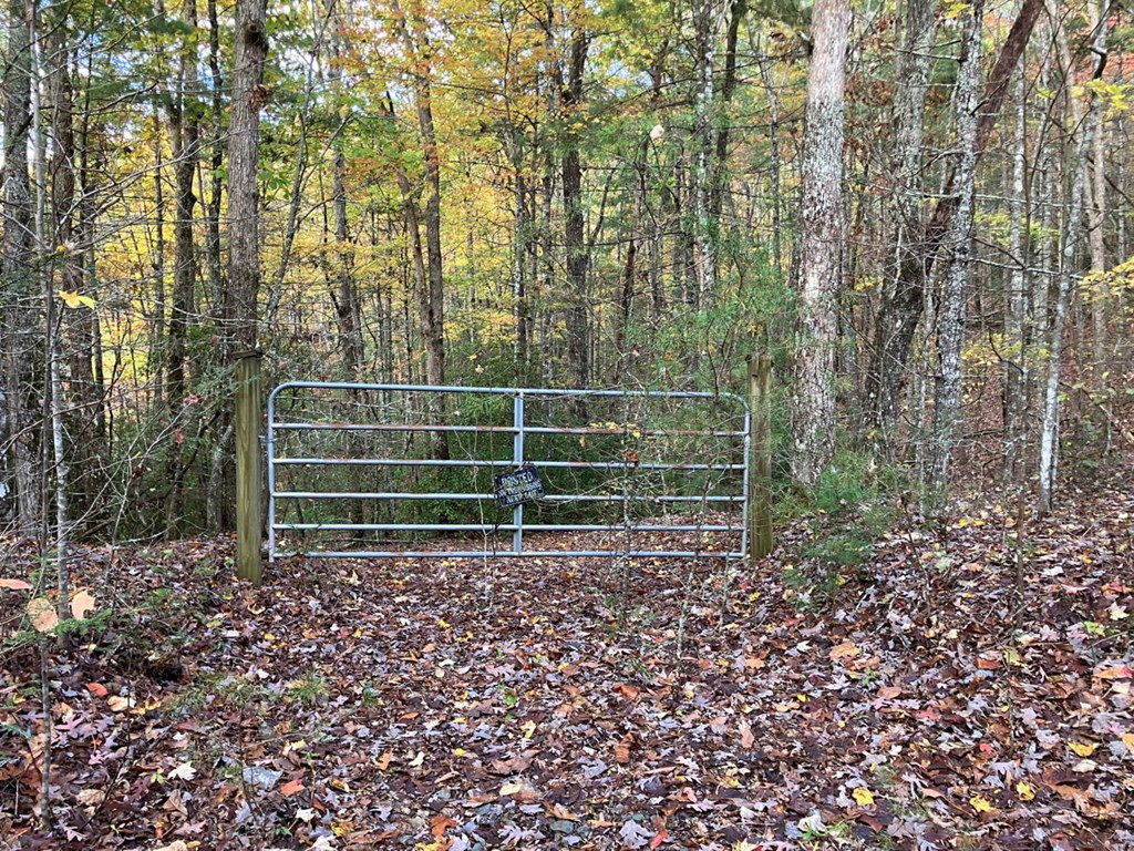 39a 0 Hedden Stiles Property Photo 19