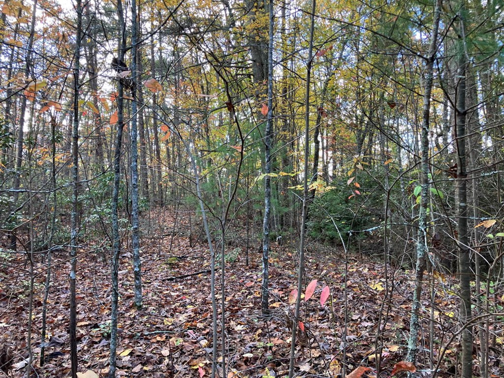 39a 0 Hedden Stiles Property Photo 20
