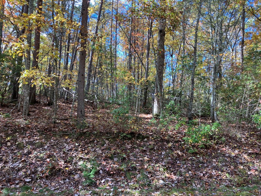39a 0 Hedden Stiles Property Photo 21