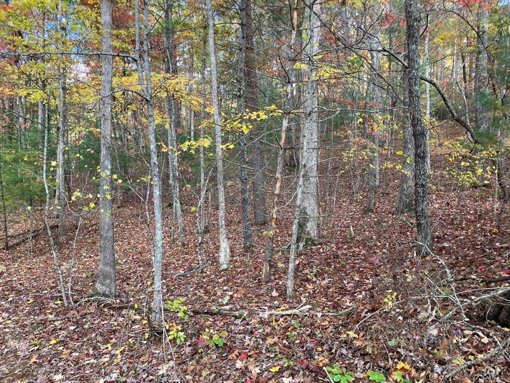 39a 0 Hedden Stiles Property Photo 23