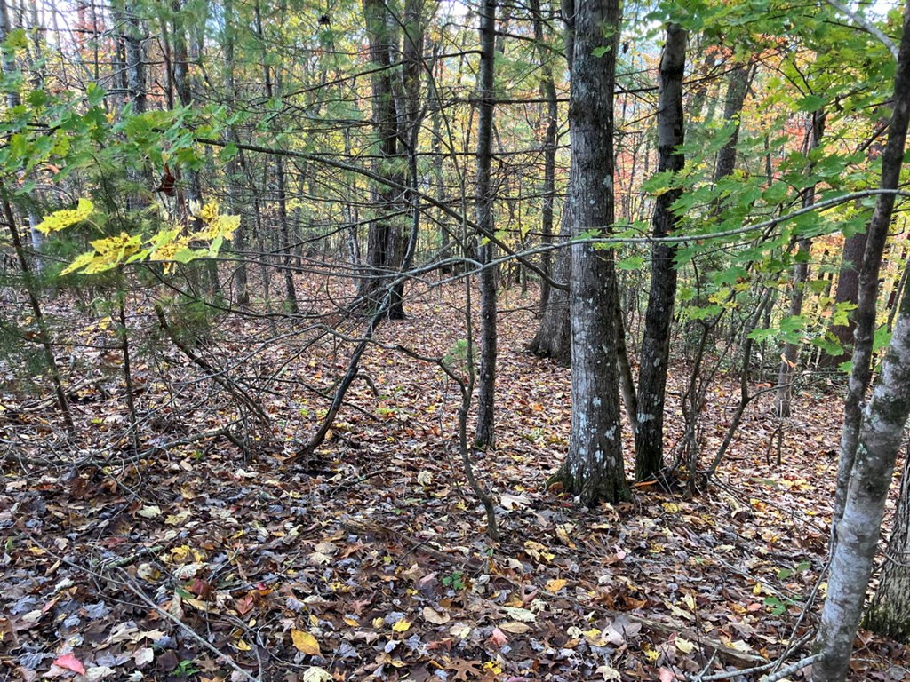 39a 0 Hedden Stiles Property Photo 24