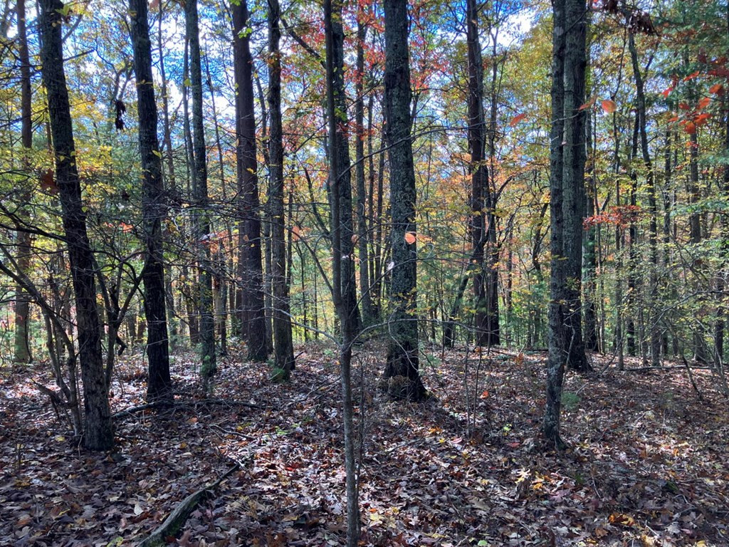 39a 0 Hedden Stiles Property Photo 26