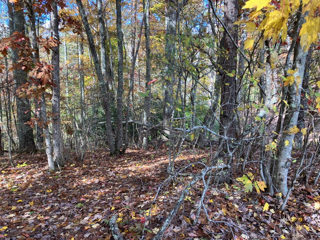 39a 0 Hedden Stiles Property Photo 27