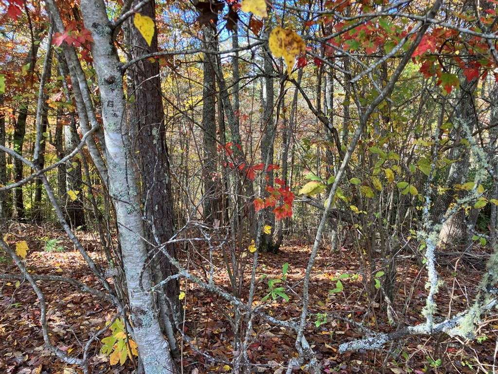 39a 0 Hedden Stiles Property Photo 28