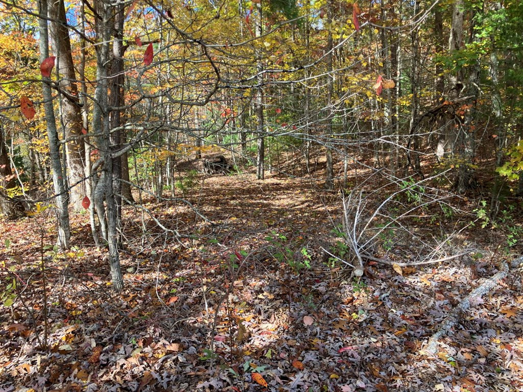 39a 0 Hedden Stiles Property Photo 30