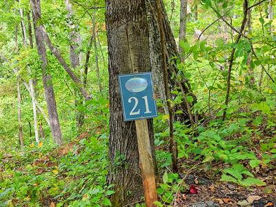 Lot 21 21 Skyview Property Photo 1