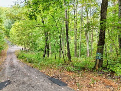Lot 21 21 Skyview Property Photo 4