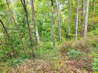 Lot 21 21 Skyview Property Photo 6