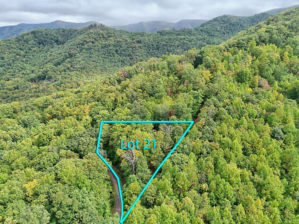 Lot 21 21 Skyview Property Photo 9