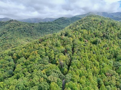 Lot 21 21 Skyview Property Photo 13