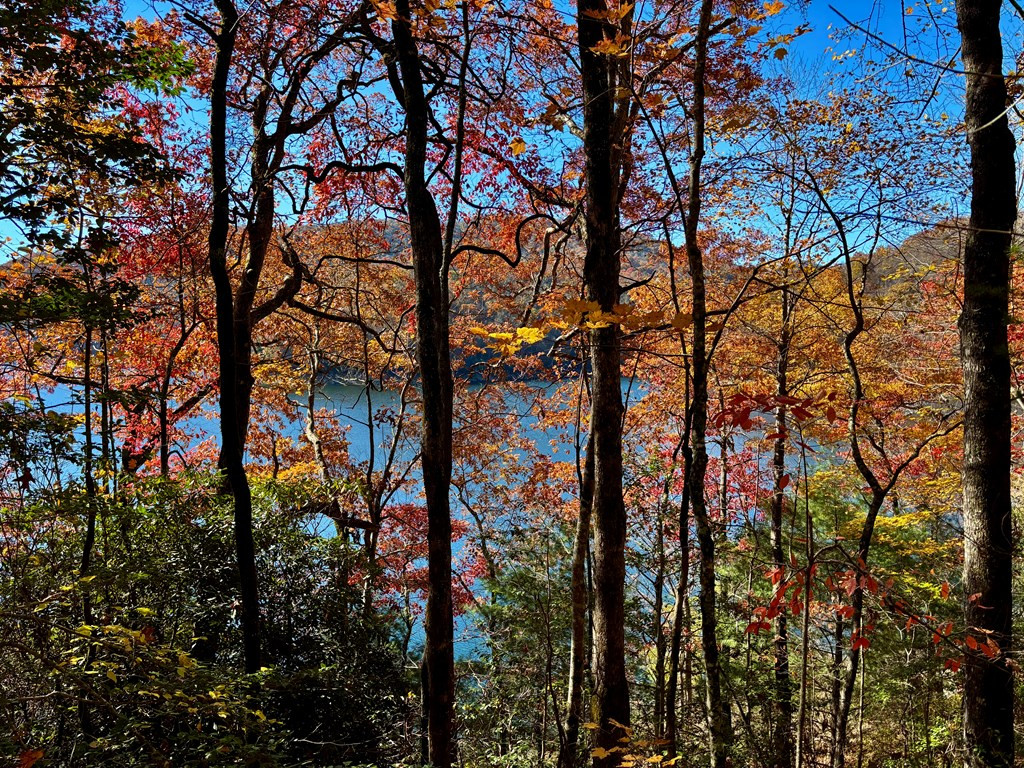 Lot#26 26 Lakeshore Drive Property Photo 3