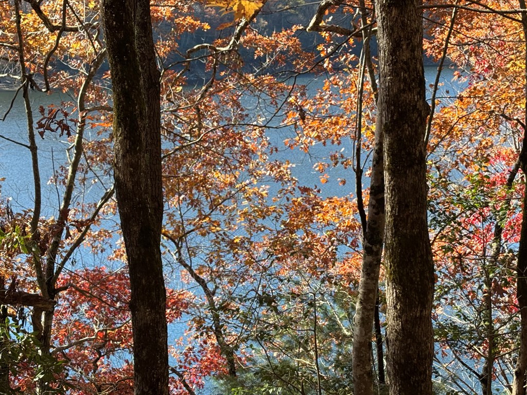 Lot#26 26 Lakeshore Drive Property Photo 4