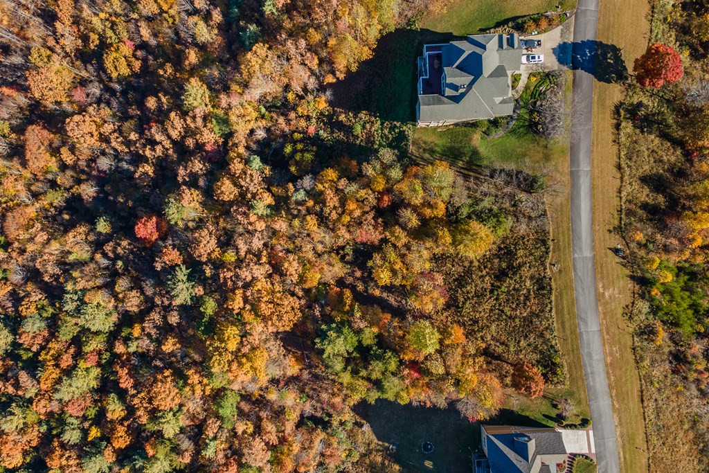 Lot 37 Great Sky Trail Property Photo 6