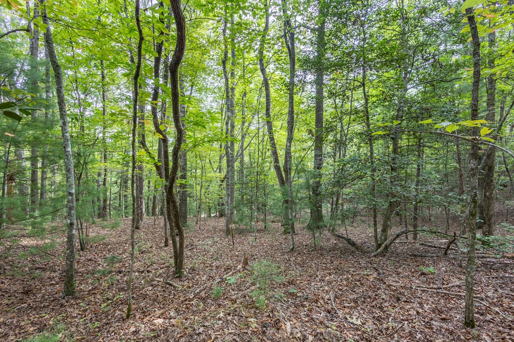 2 Ac 6 Horvath Road Property Photo 2