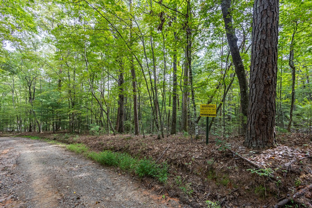 2 Ac 6 Horvath Road Property Photo 4
