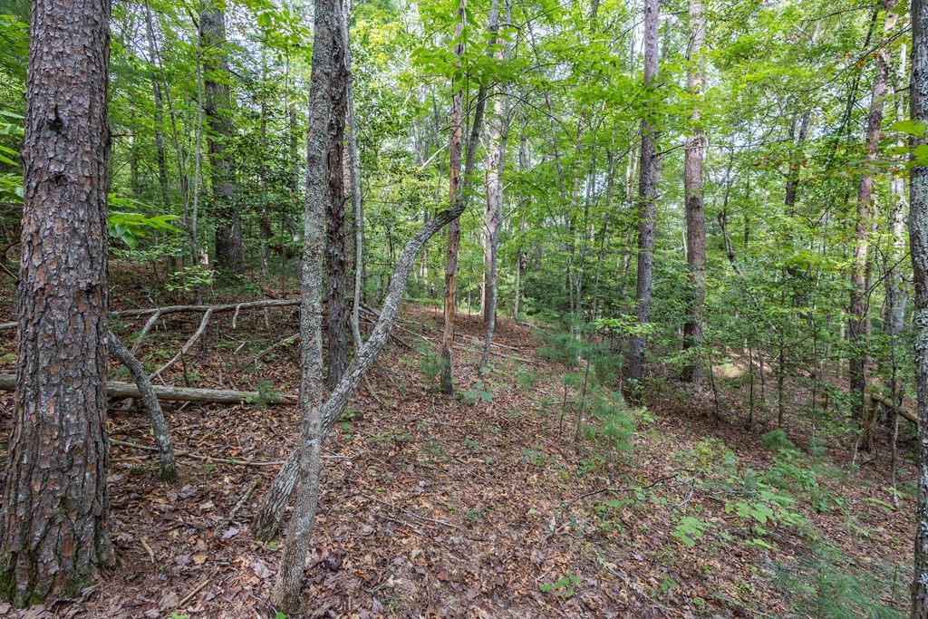 2 Ac 6 Horvath Road Property Photo 5